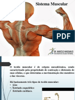 sistema muscular farmácia