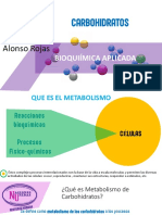 Clase 2 Bioquimica Aplicada