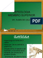 Osteologia Miembro Superior PDF