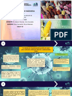 Un Metodo de Transformacion Genetica de Maiz para Conferirle Resistencia Ulterior A Enfermedades Virales