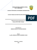 Universidad Nacional Intercultural de La Amazonia