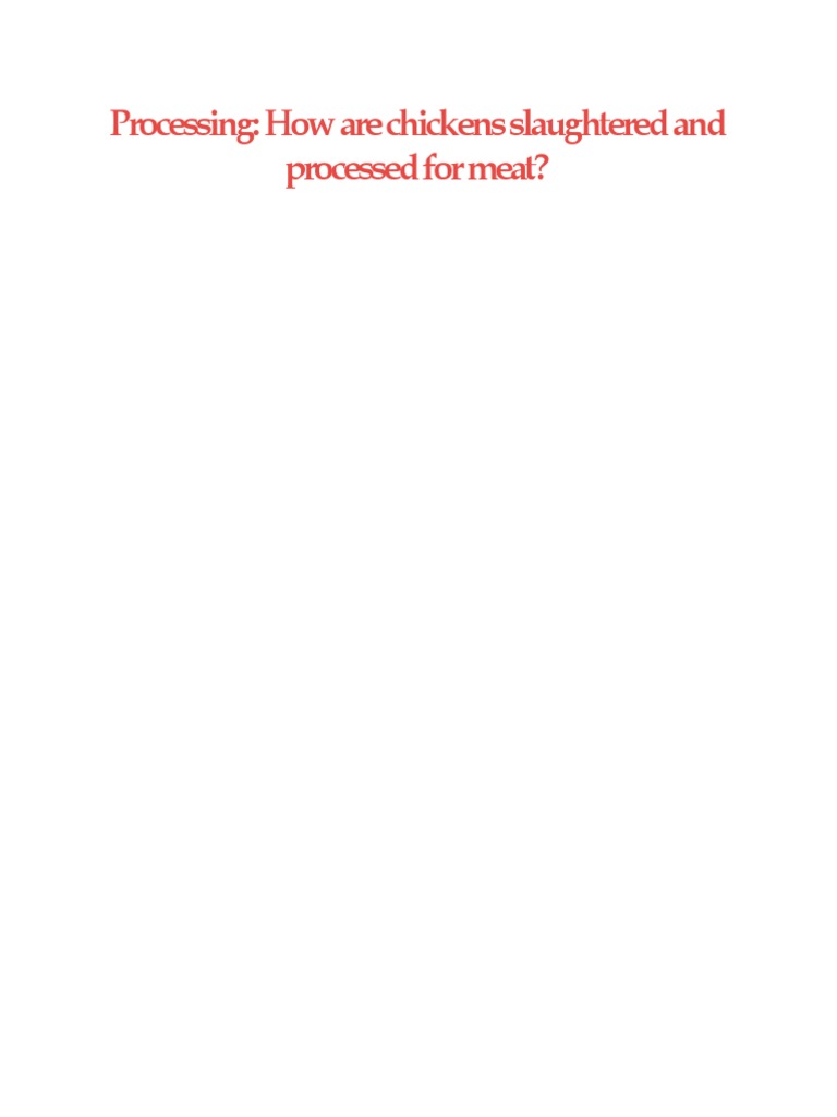 Chicken Slaughter and Processing Steps | PDF | Animal Slaughter ...