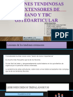 Lesiones Tendinosas de Extensores de Mano y TBC Osteoarticular