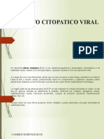 EFECTO CITOPATICO VIRAL 2021 (1)