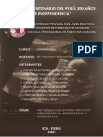 Patologías Del Sistema Nervioso