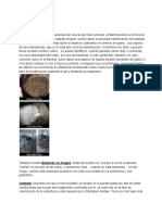 Contaminaciones en Cultivo de Hongos Psi.pdf · Versión 1