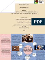 Relación en El Derecho Penal y El Derecho Constitucional Cabal