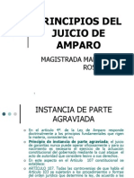 principios_juicio_amparo