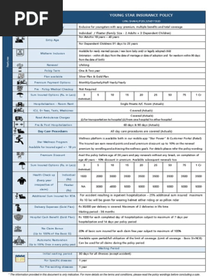 Youngstar_One Pager