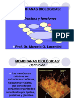 12 - Membranas Biologicas