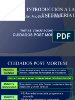 Cuidados Post Mortem