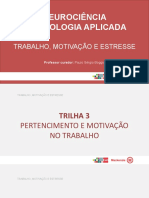 T3 - slides - trabalho motivação e stress