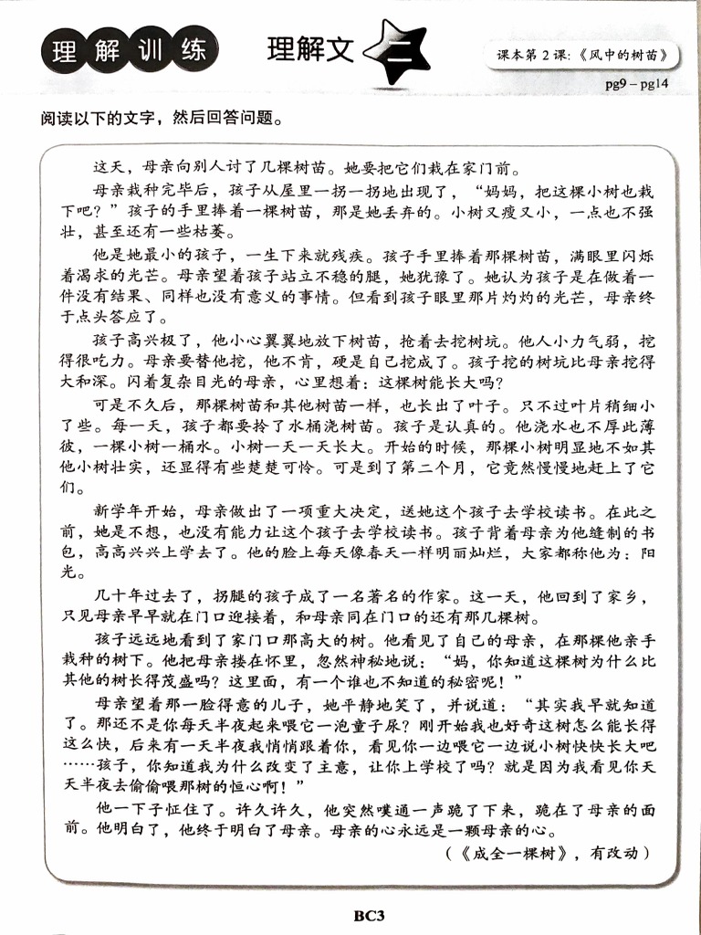 五年级华文作业理解 二 Pdf