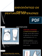 PDF Semana 3 Practica Endo - Compress