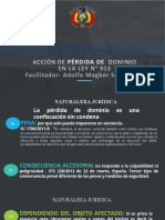 Ppt Perdida de Dominio Bolivia 2021