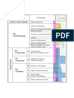 Litoestratigrafía de la mina