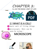 Cell As The Basic Unit of Life