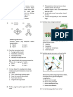 Paket A To Mkks 2019