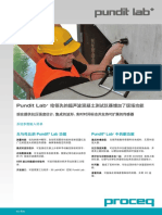 Pundit Lab Sales Flyer Chinese High