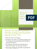 Sensory & Motor Mechanisms