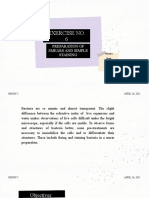 Exercise No. 6: Preparation of Smears and Simple Staining