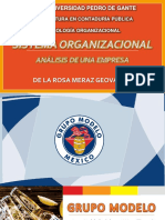 Análisis Organizacional - de La Rosa Meraz Geovanny - CP