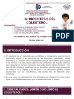 Tema Biosíntesis Del Colesterol