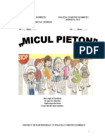 Parteneriat Micul Pieton