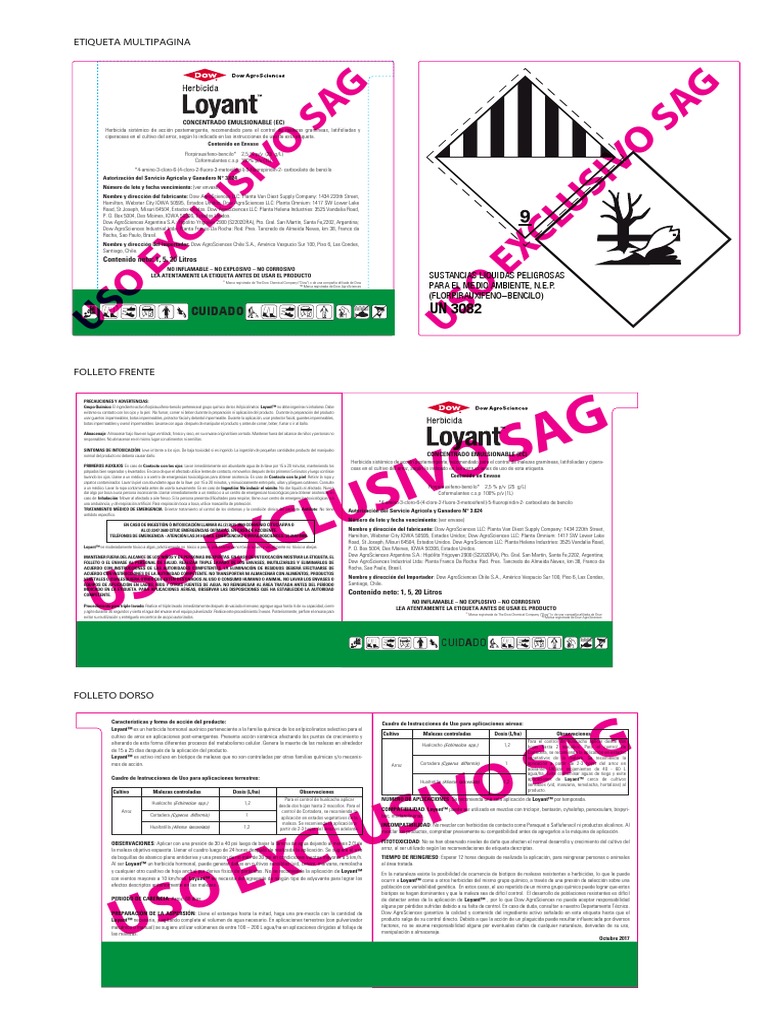 LOYANT Chile Label | PDF | Agua | Productos quimicos
