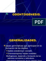 ODONTOGENESIS