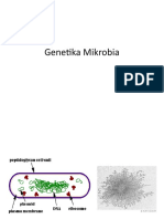 Genetika Mikrobia