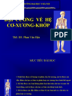 Đai Cuong He Xương Khơp - Tuan Hoan