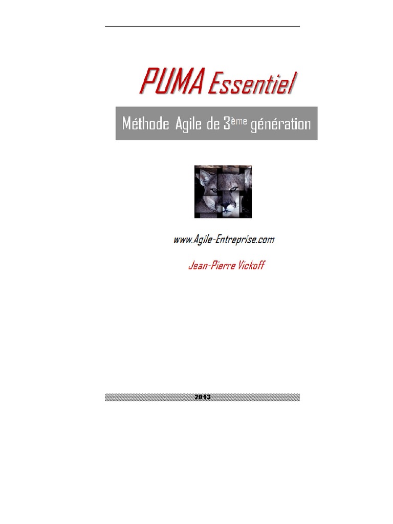 PUMA : Méthode Agile de 3ème Génération | PDF | Méthode agile | Scrum ...