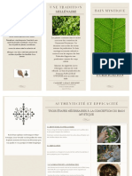Bain de Purification PDF
