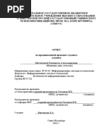 Отчет пдп Мягчилова