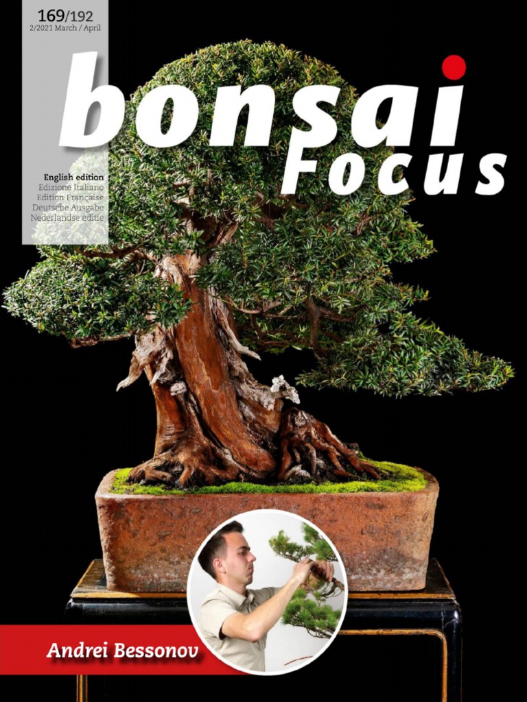Bonsai Focus 169 | PDF