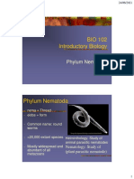 BIO 102 Introductory Biology: Phylum Nematoda