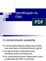 Identificao do DNA