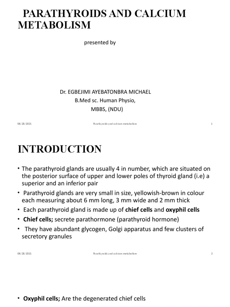 Parathyroid Glands and Calcium Regulation | PDF | Parathyroid Gland | Bone