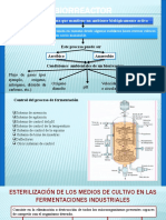 Biorreactores y Preparación de Inóculos
