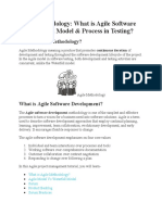 Agile Methodology: What Is Agile Software Development Model & Process in Testing?