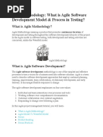 Agile Methodology: What Is Agile Software Development Model & Process in Testing?