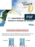 Capacidade Termica