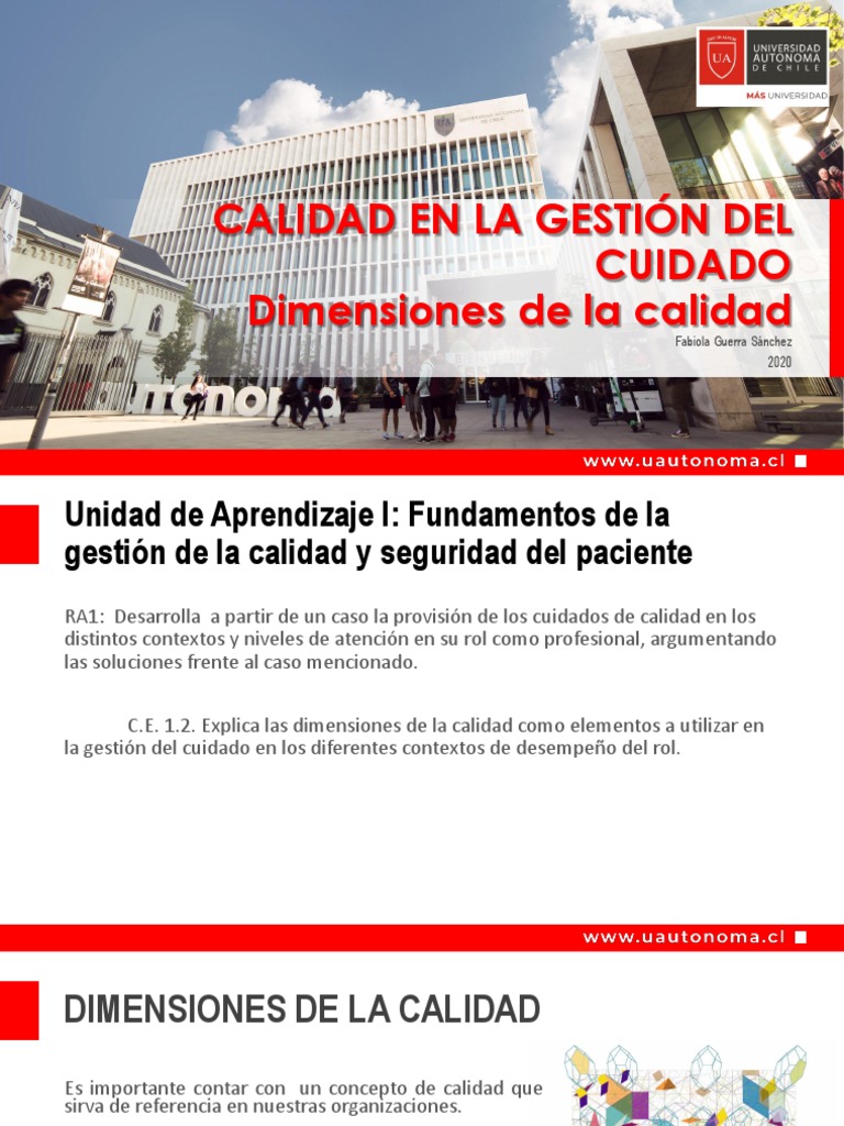 Dimensiones de Calidad en Salud | PDF | Gestión de la calidad | Sistema ...