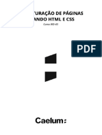 Apostila HTML Css Javascript