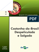 AGROIND FAMCastanha Brasil Despeliculada Salgada Ed02 2012