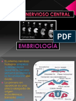 3.desarrollo snc