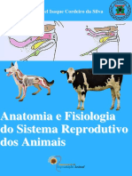 Anatomia e fisiologia dos órgãos reprodutores dos animais