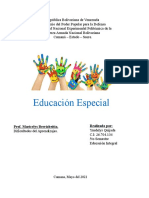 Conceptos Basicos Educacion Especial ENTREGADO