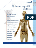 Cap 6. El Sistema Esquelético y Sistema Oseo